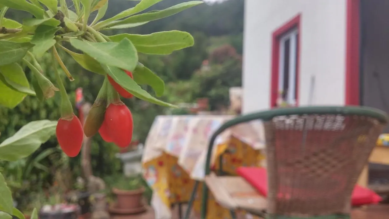 Séjour à la campagne Maison d'hôtes La Maison ZiaZen à Porto Da Cruz