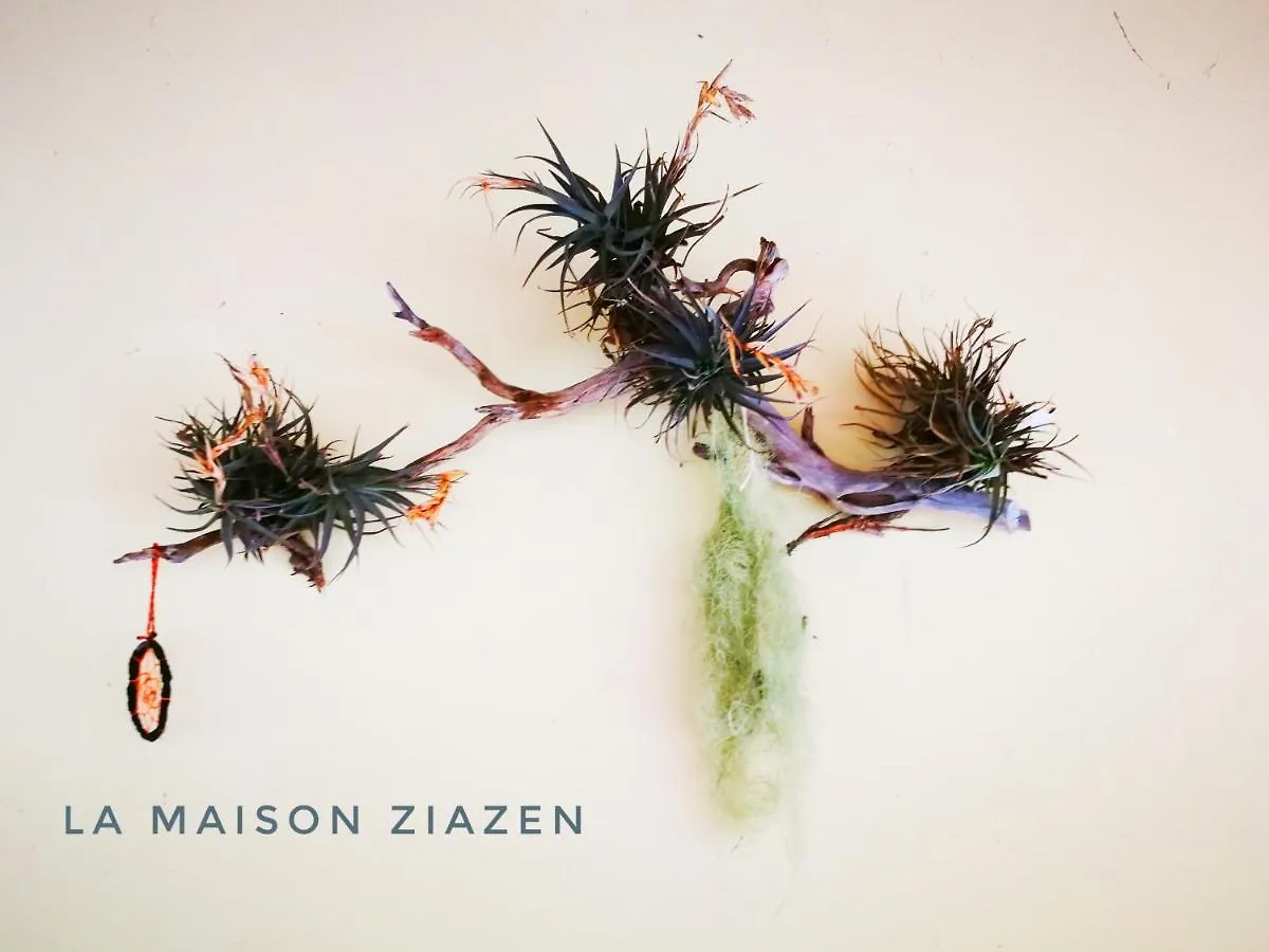 منزل ريفي منزل الضيف بورتو دا كروز  في La Maison Ziazen البرتغال